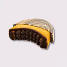 Drenaj limfatic BRUSH TM